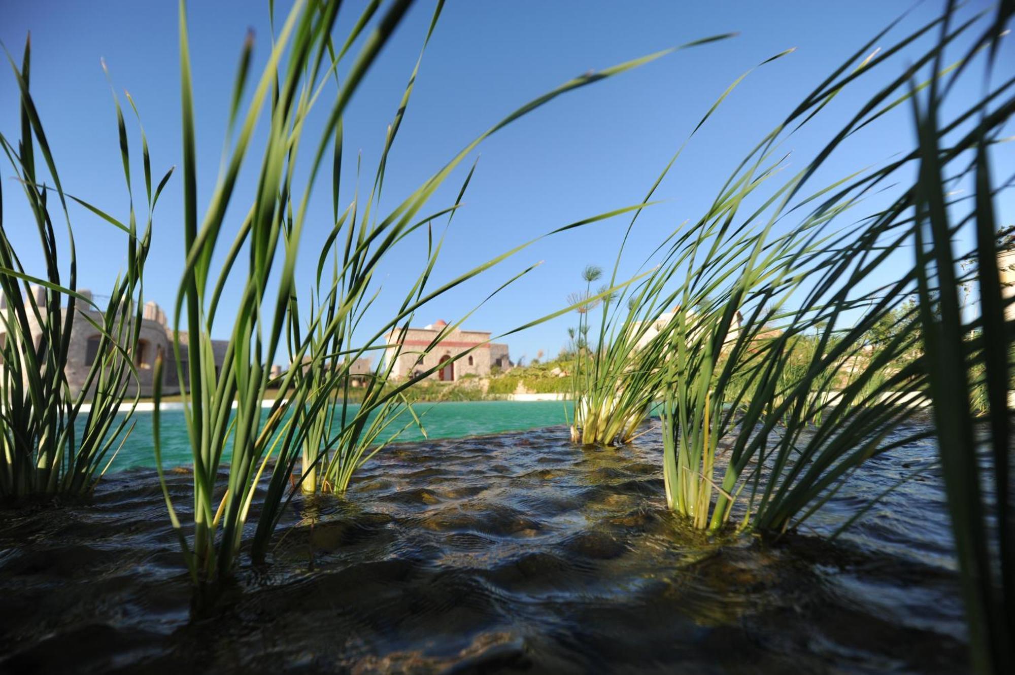 Bed and Breakfast Douar Noujoum Эс-Сувейра Экстерьер фото